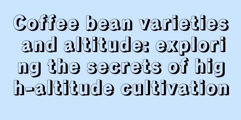 Coffee bean varieties and altitude: exploring the secrets of high-altitude cultivation