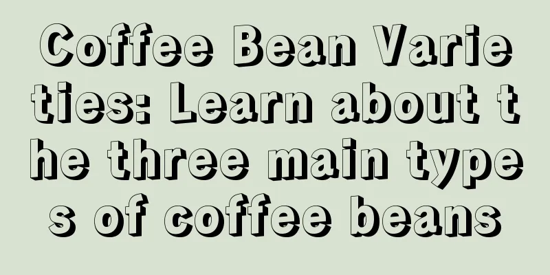 Coffee Bean Varieties: Learn about the three main types of coffee beans