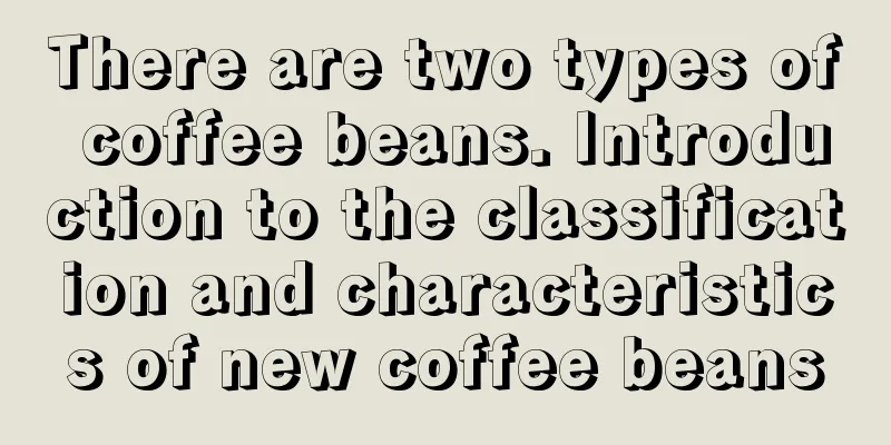 There are two types of coffee beans. Introduction to the classification and characteristics of new coffee beans