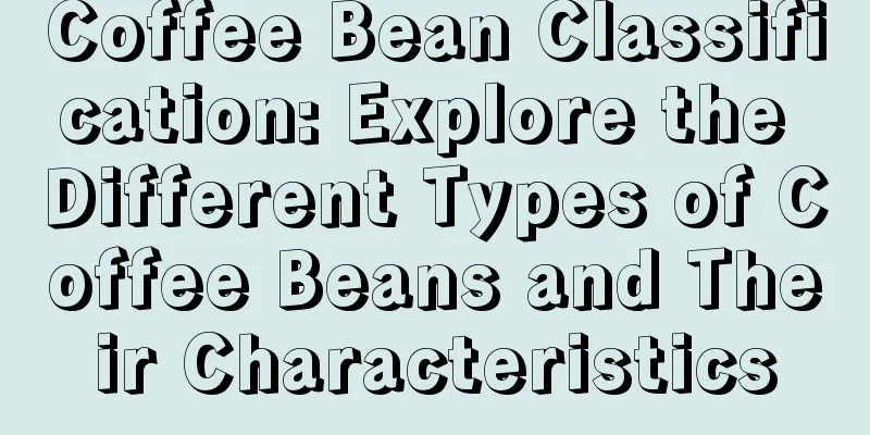 Coffee Bean Classification: Explore the Different Types of Coffee Beans and Their Characteristics