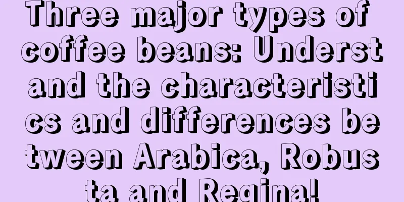 Three major types of coffee beans: Understand the characteristics and differences between Arabica, Robusta and Regina!