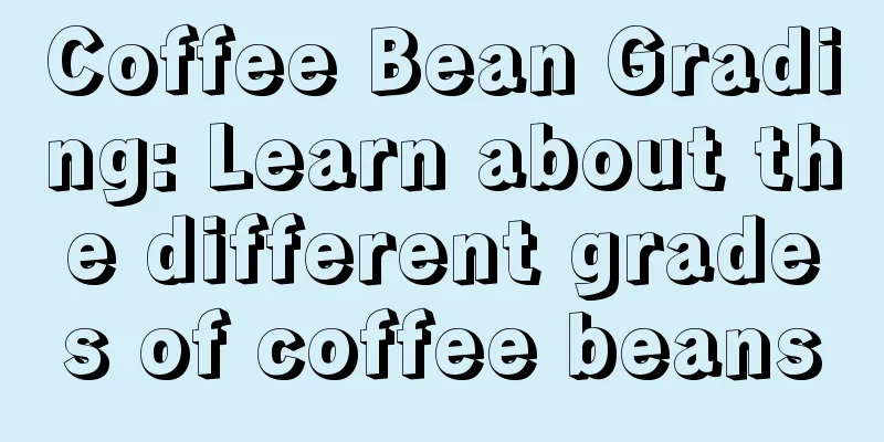 Coffee Bean Grading: Learn about the different grades of coffee beans