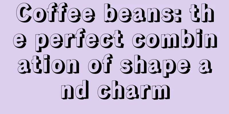 Coffee beans: the perfect combination of shape and charm