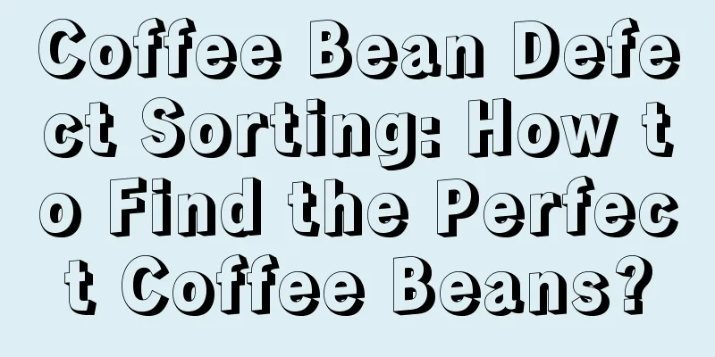 Coffee Bean Defect Sorting: How to Find the Perfect Coffee Beans?