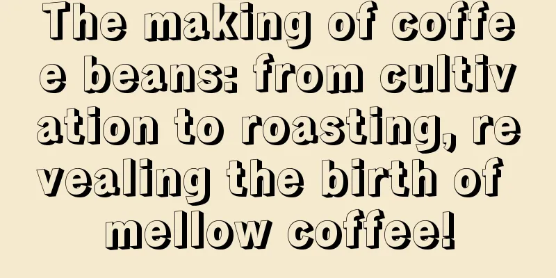 The making of coffee beans: from cultivation to roasting, revealing the birth of mellow coffee!