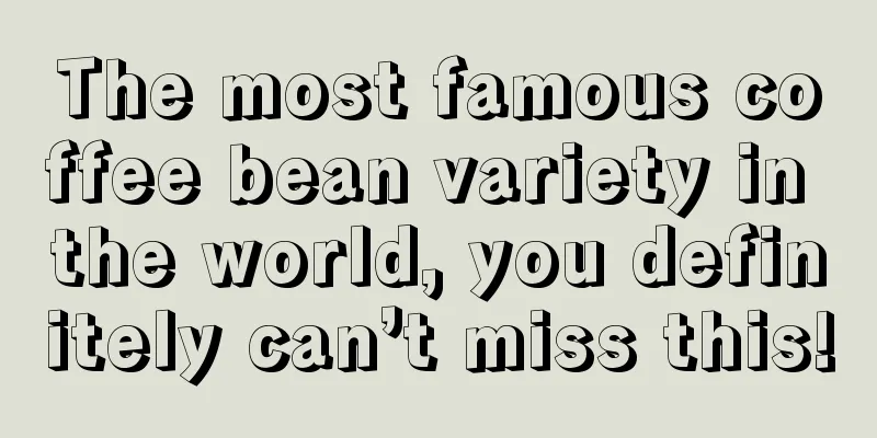 The most famous coffee bean variety in the world, you definitely can’t miss this!