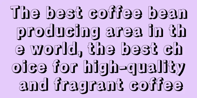 The best coffee bean producing area in the world, the best choice for high-quality and fragrant coffee