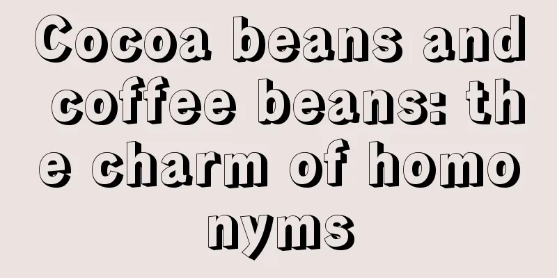 Cocoa beans and coffee beans: the charm of homonyms