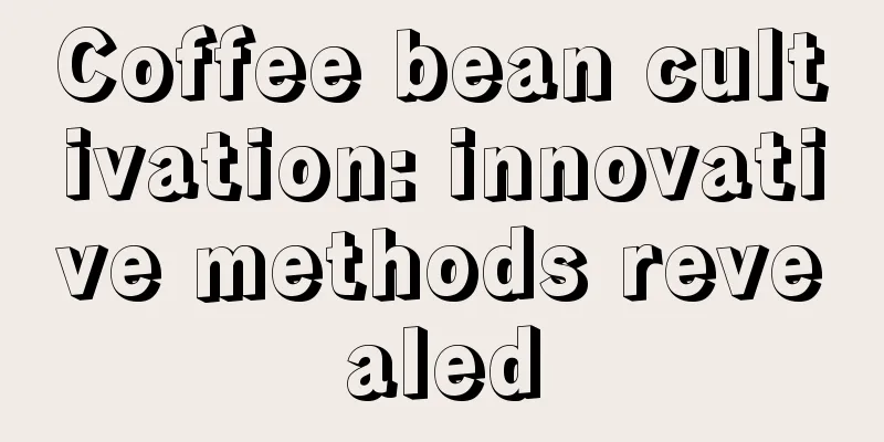 Coffee bean cultivation: innovative methods revealed