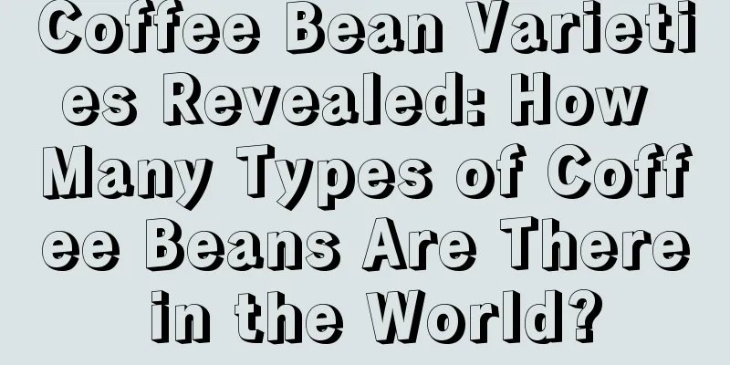 Coffee Bean Varieties Revealed: How Many Types of Coffee Beans Are There in the World?