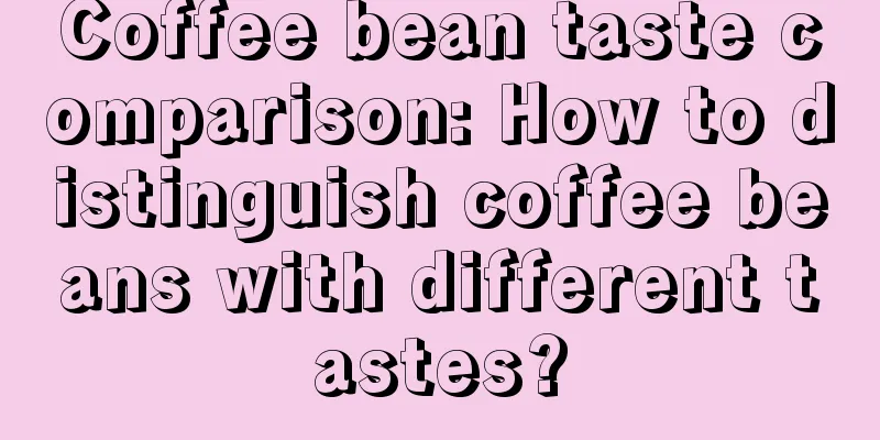 Coffee bean taste comparison: How to distinguish coffee beans with different tastes?