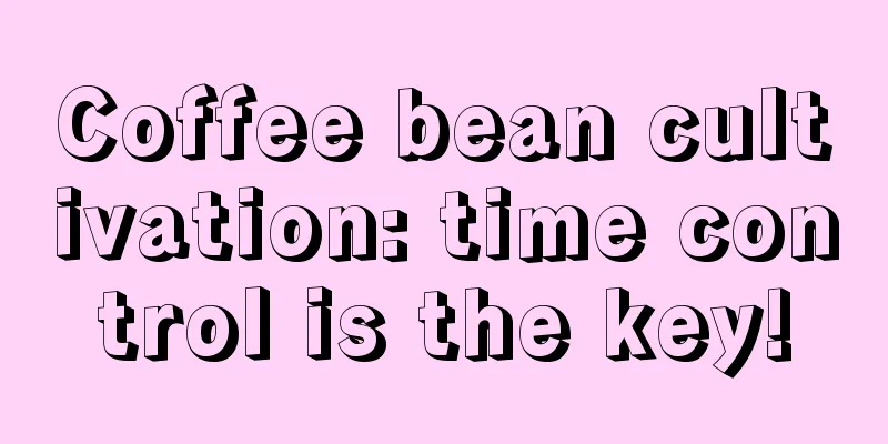 Coffee bean cultivation: time control is the key!