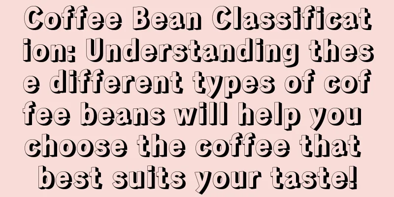 Coffee Bean Classification: Understanding these different types of coffee beans will help you choose the coffee that best suits your taste!