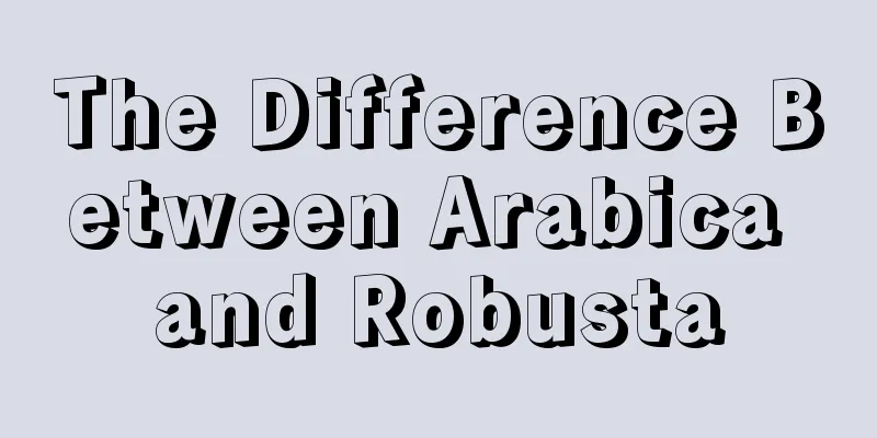 The Difference Between Arabica and Robusta