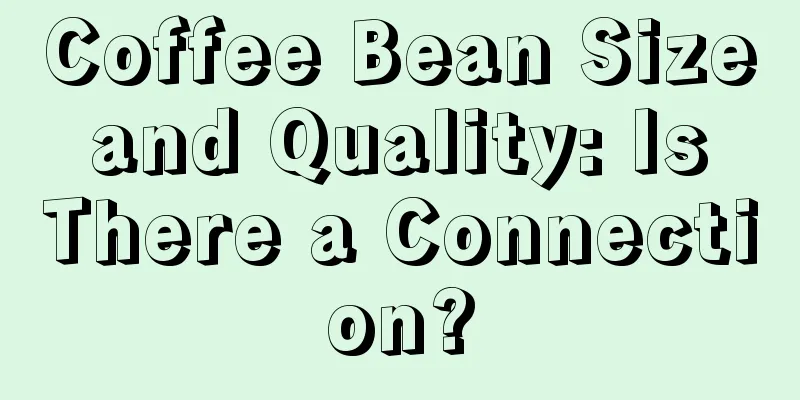 Coffee Bean Size and Quality: Is There a Connection?