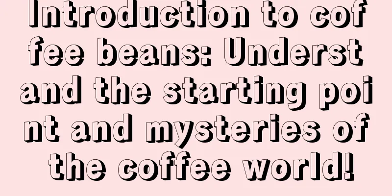 Introduction to coffee beans: Understand the starting point and mysteries of the coffee world!