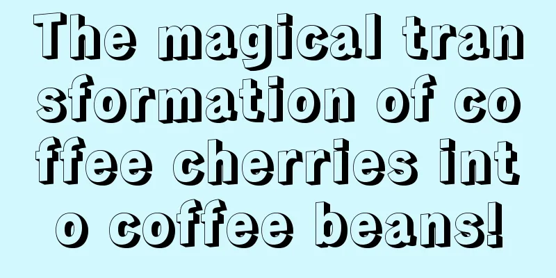 The magical transformation of coffee cherries into coffee beans!