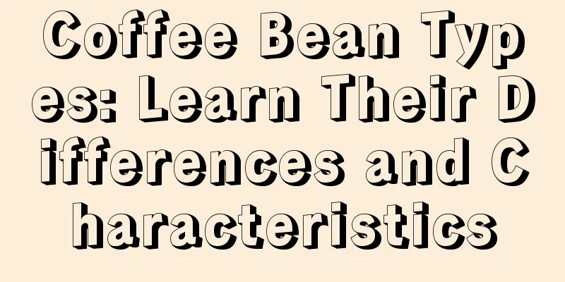 Coffee Bean Types: Learn Their Differences and Characteristics