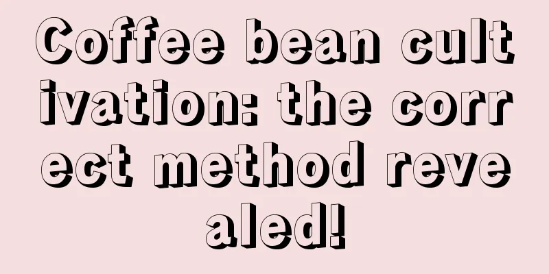 Coffee bean cultivation: the correct method revealed!