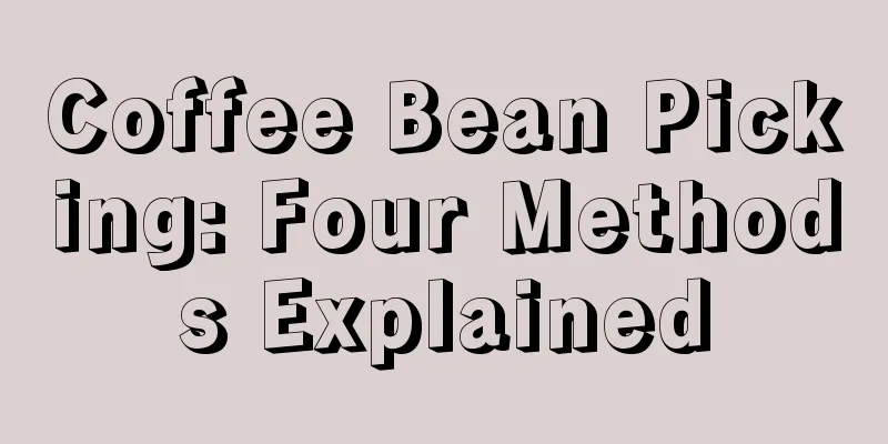 Coffee Bean Picking: Four Methods Explained