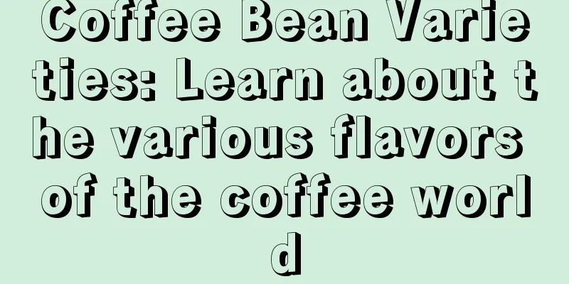 Coffee Bean Varieties: Learn about the various flavors of the coffee world