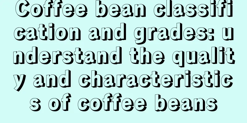 Coffee bean classification and grades: understand the quality and characteristics of coffee beans