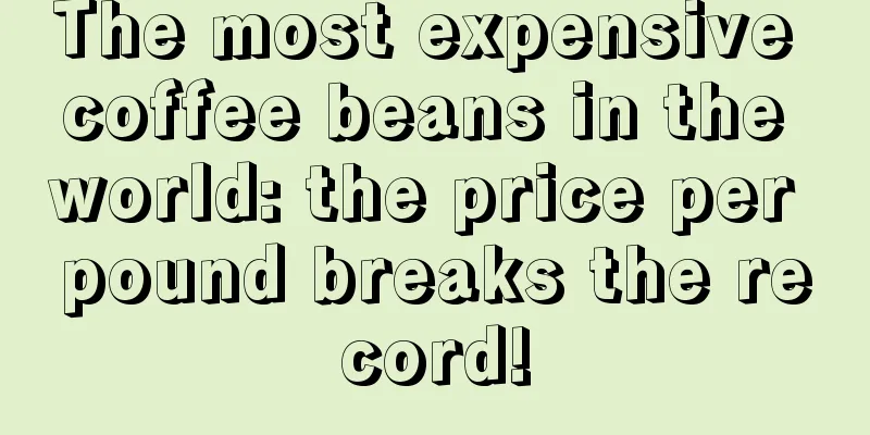 The most expensive coffee beans in the world: the price per pound breaks the record!