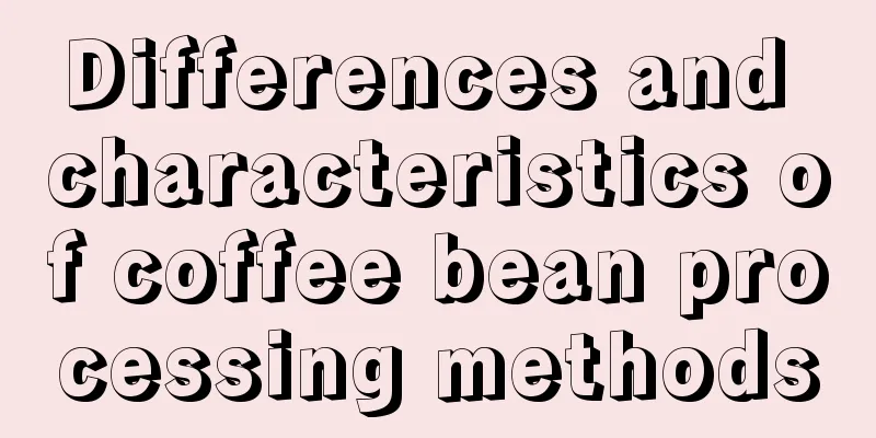 Differences and characteristics of coffee bean processing methods