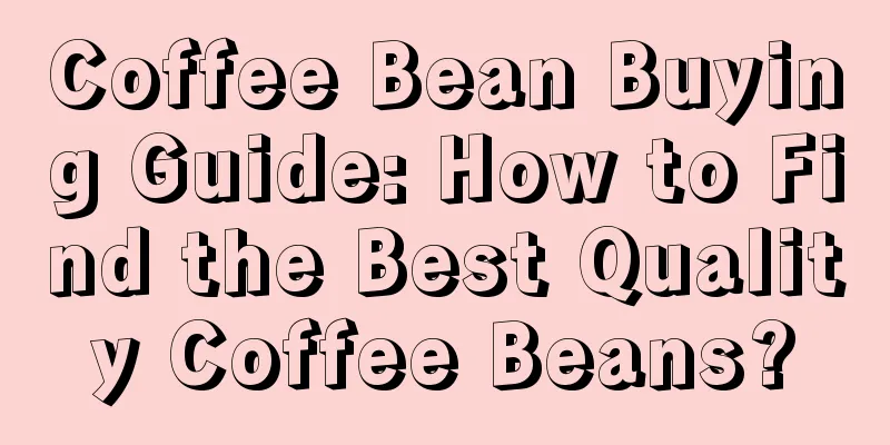 Coffee Bean Buying Guide: How to Find the Best Quality Coffee Beans?