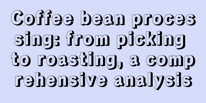 Coffee bean processing: from picking to roasting, a comprehensive analysis