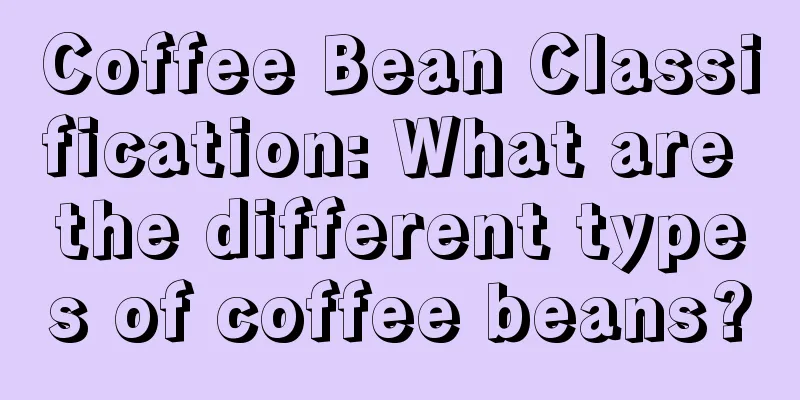 Coffee Bean Classification: What are the different types of coffee beans?