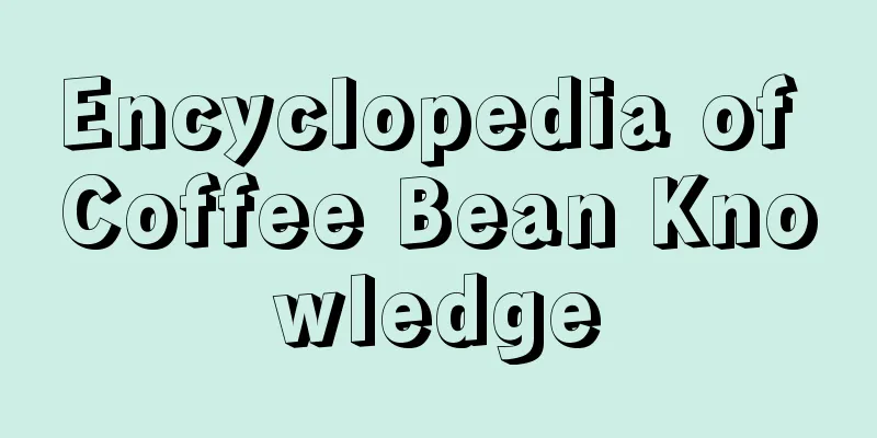 Encyclopedia of Coffee Bean Knowledge