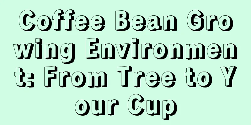 Coffee Bean Growing Environment: From Tree to Your Cup