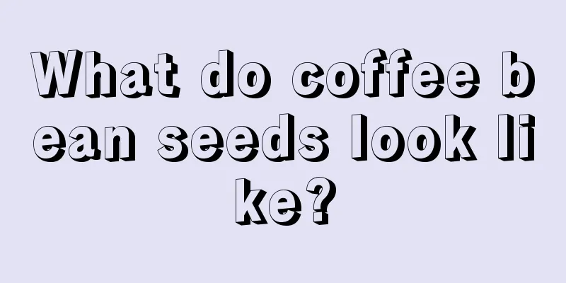 What do coffee bean seeds look like?