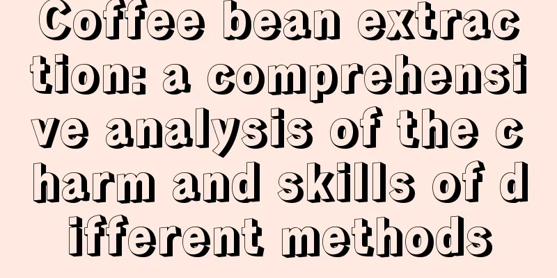 Coffee bean extraction: a comprehensive analysis of the charm and skills of different methods