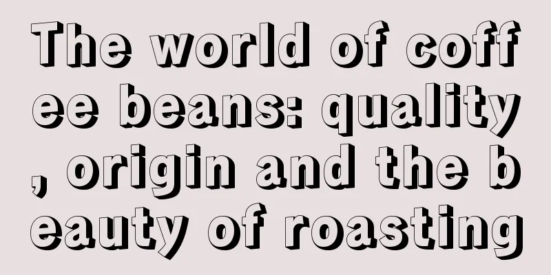 The world of coffee beans: quality, origin and the beauty of roasting