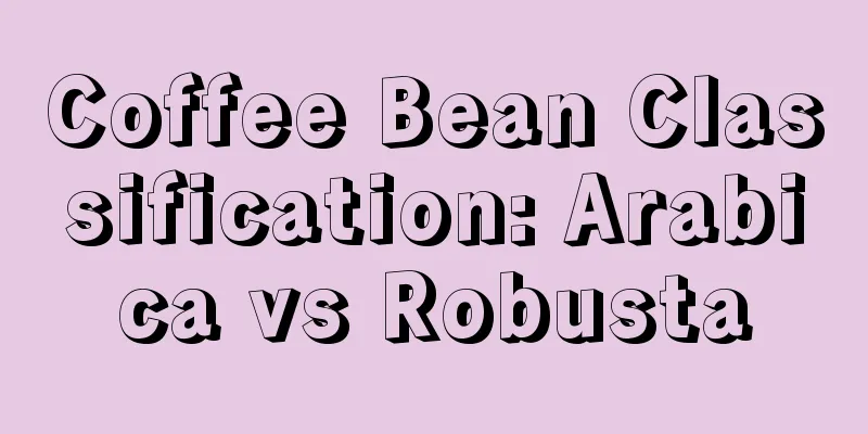 Coffee Bean Classification: Arabica vs Robusta