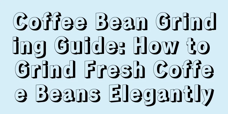 Coffee Bean Grinding Guide: How to Grind Fresh Coffee Beans Elegantly