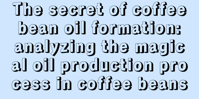 The secret of coffee bean oil formation: analyzing the magical oil production process in coffee beans