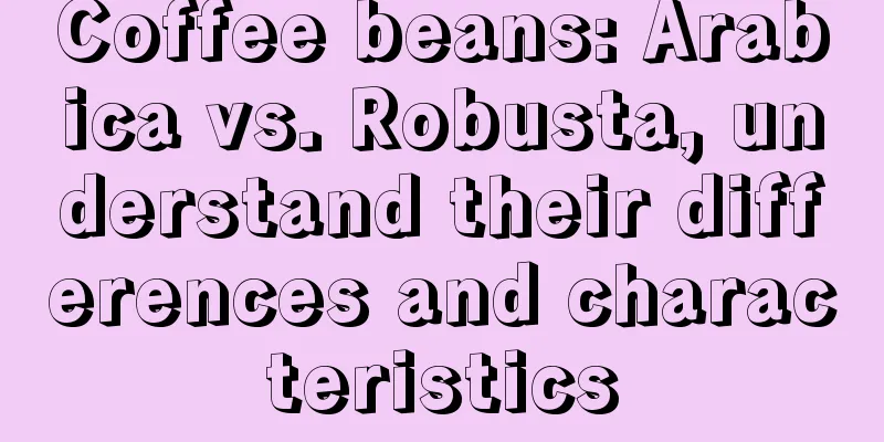 Coffee beans: Arabica vs. Robusta, understand their differences and characteristics