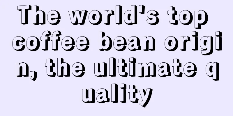 The world's top coffee bean origin, the ultimate quality