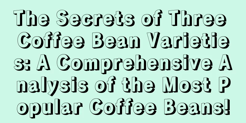 The Secrets of Three Coffee Bean Varieties: A Comprehensive Analysis of the Most Popular Coffee Beans!