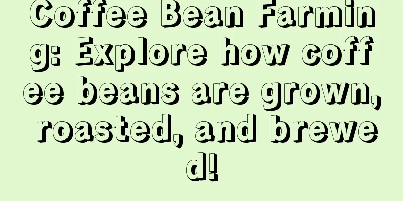 Coffee Bean Farming: Explore how coffee beans are grown, roasted, and brewed!