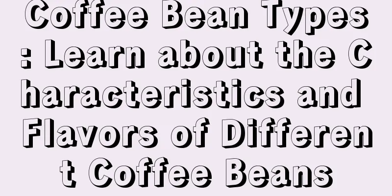 Coffee Bean Types: Learn about the Characteristics and Flavors of Different Coffee Beans