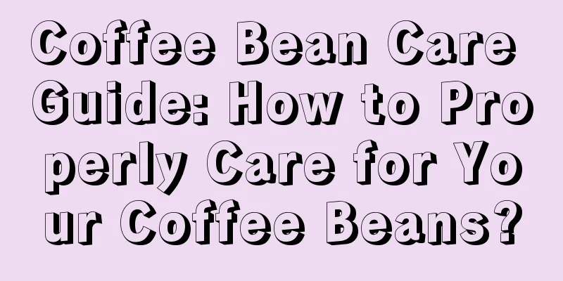 Coffee Bean Care Guide: How to Properly Care for Your Coffee Beans?