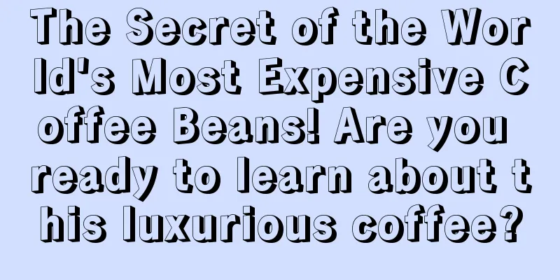 The Secret of the World's Most Expensive Coffee Beans! Are you ready to learn about this luxurious coffee?