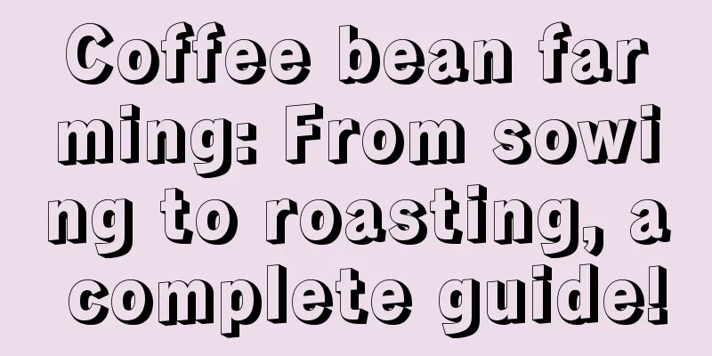 Coffee bean farming: From sowing to roasting, a complete guide!