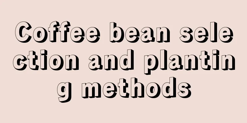 Coffee bean selection and planting methods