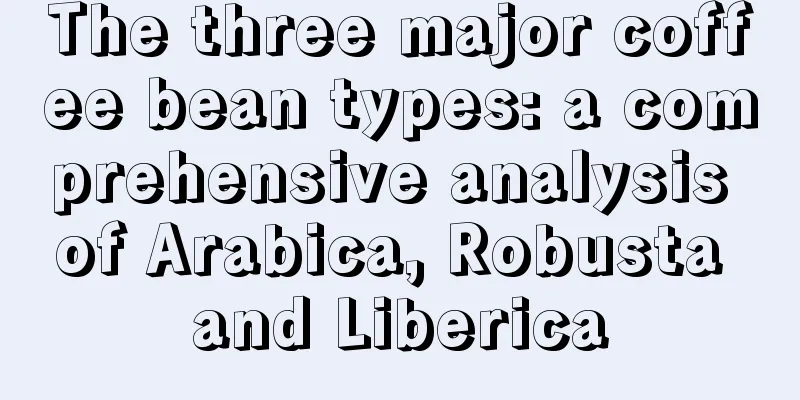 The three major coffee bean types: a comprehensive analysis of Arabica, Robusta and Liberica