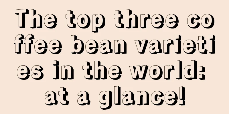 The top three coffee bean varieties in the world: at a glance!